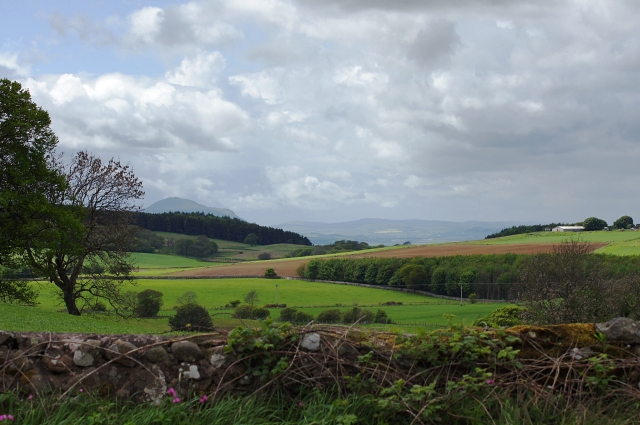 Fife landscape by remwiz