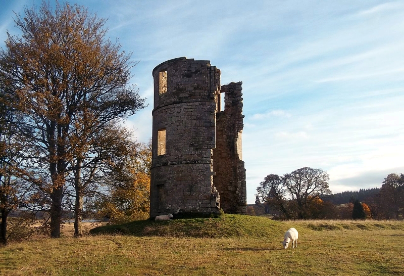 Douglas Castle by Terry Black