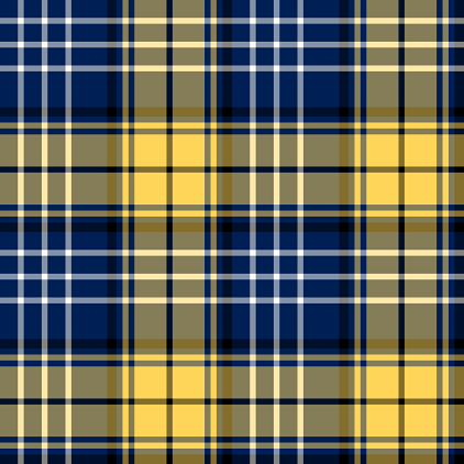 Custom Coyle family tartan