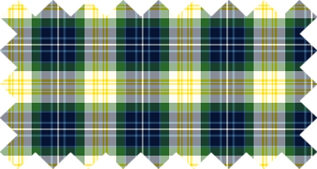 Fitzpatrick Tartan