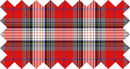 Clan Warden Tartan