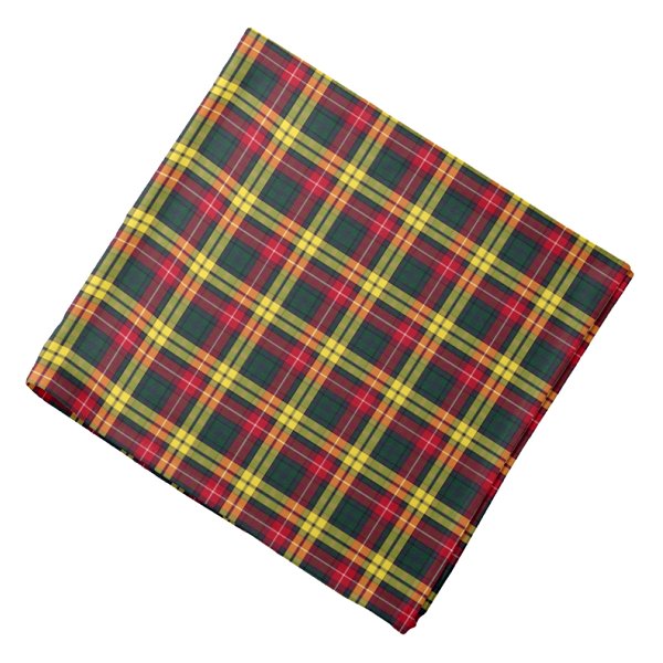 Plaid bandana