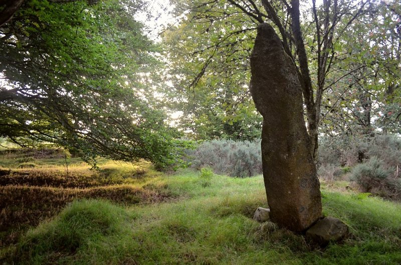 Standing Stone at Midmar by Andrew Tryon