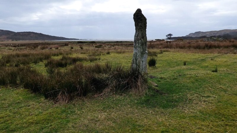 Standing Stone at Carse by Sandy Gerrard
