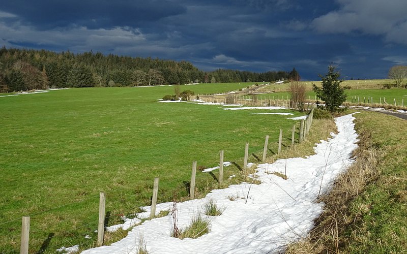 Braes of Enzie Road, near Forgie by Anne Burgess