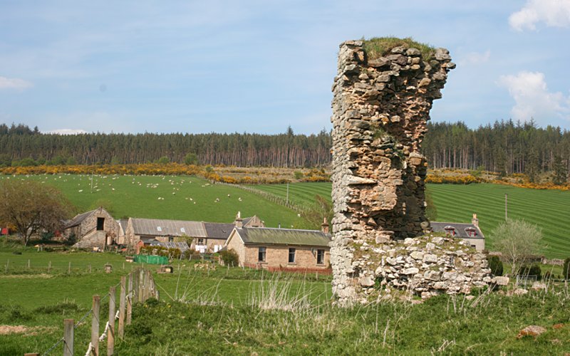 Tor Castle, near Dallas, Moray by Anne Burgess