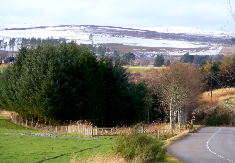 Upper Knockando, Cardow, Moray by Ann Harrison