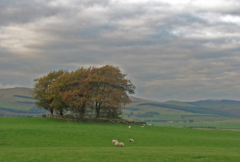 Carleith Cairn by William Starkey
