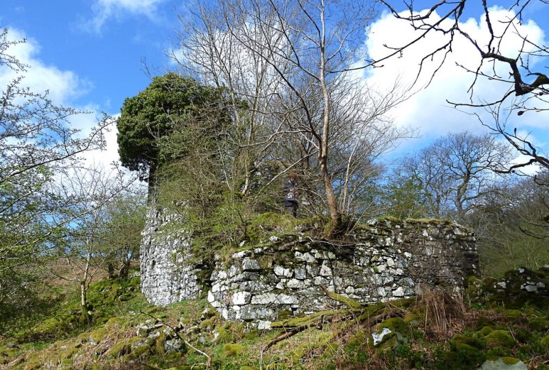 Remains of Garlies Castle by Anthony O'Neil