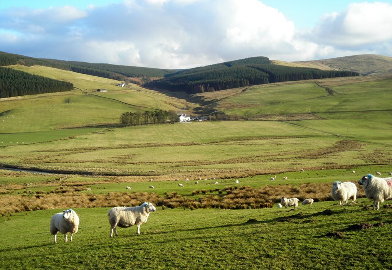 Glentewing, near Crawfordjohn by Iain Thompson