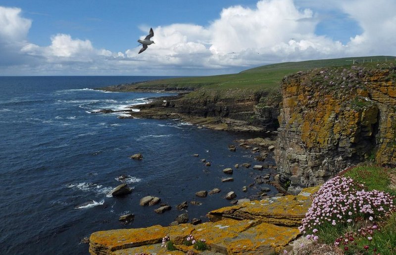 Coastline, Bisgeos, Westray by Claire Pegrum