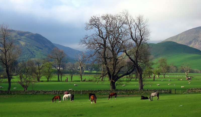 Manor Valley near Peebles by John Purvis