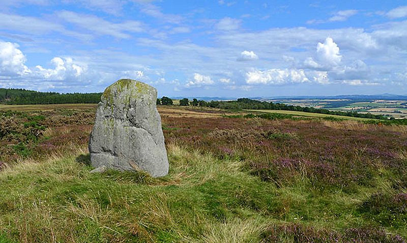 Standing Stone on the Braes of Fowlis by Richard Murray
