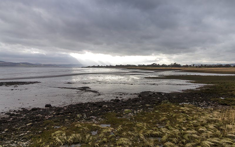 Bay at Kingoodie by William Starkey