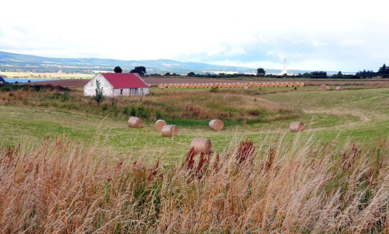 Abandoned cottage near Alnessferry, Resolis