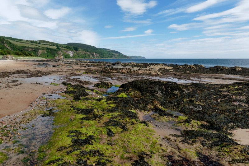 The coast at Rosemarkie by Julian Paren