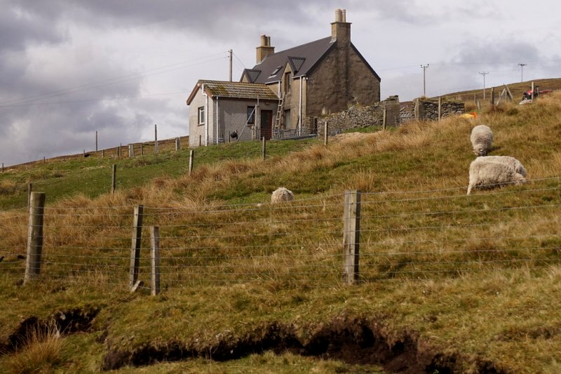 Camb, Mid Yell, Shetland Islands by Mike Pennington