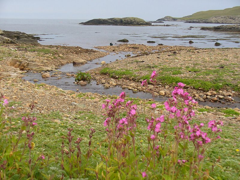 Burn at East Voe of Quarff by Colin Smith