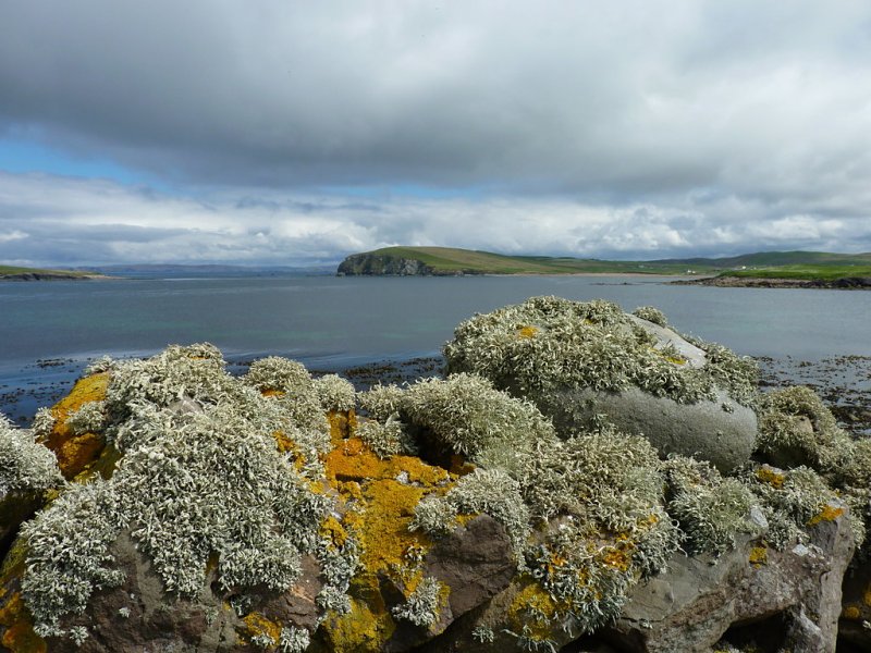 Melby, Sandness by Ruth Sharville