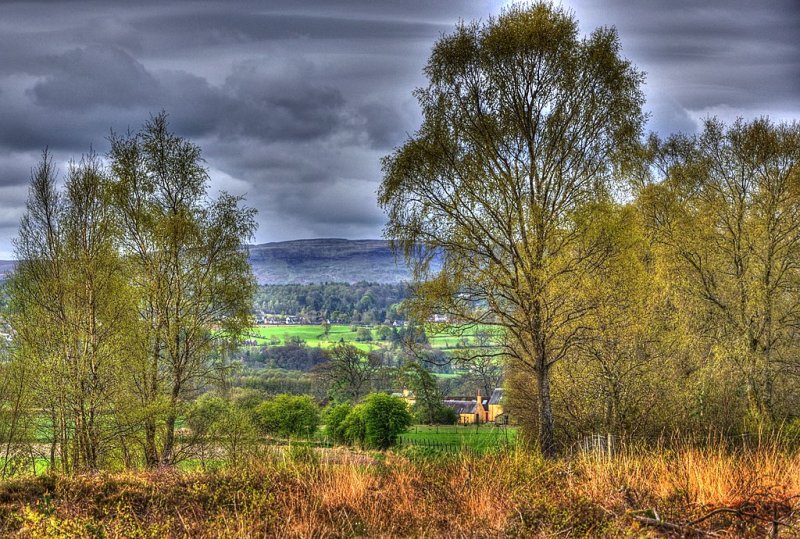 Kippen from Flanders Moss, Stirling by Neil Aitkenhead