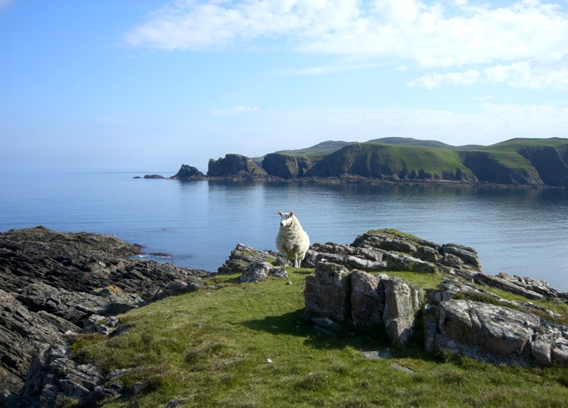 Farr Bay near Bettyhill, Sutherland by Sylvia Duckworth