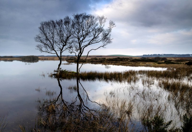 Mochrum Loch by David Baird