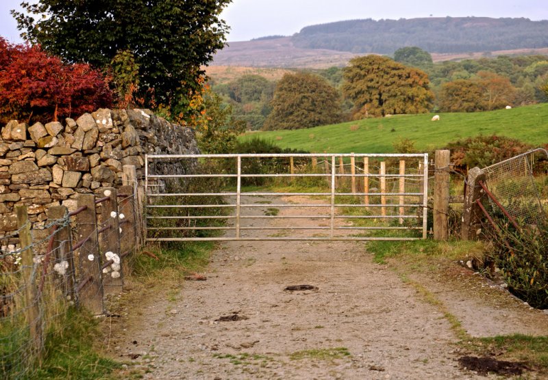 Gate to Penninghame Home Farm by Anthony O'Neil