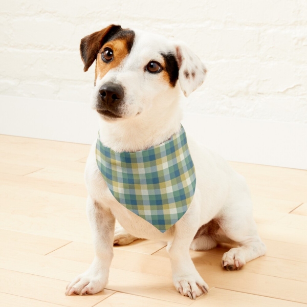 Green, blue, and yellow checkered plaid pet bandana