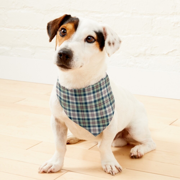 Green and Navy Blue Plaid Pet Bandana