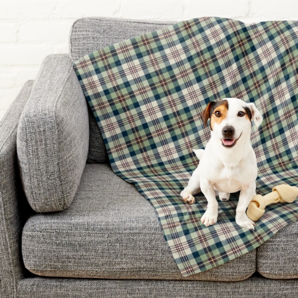 Light green and navy blue plaid pet blanket