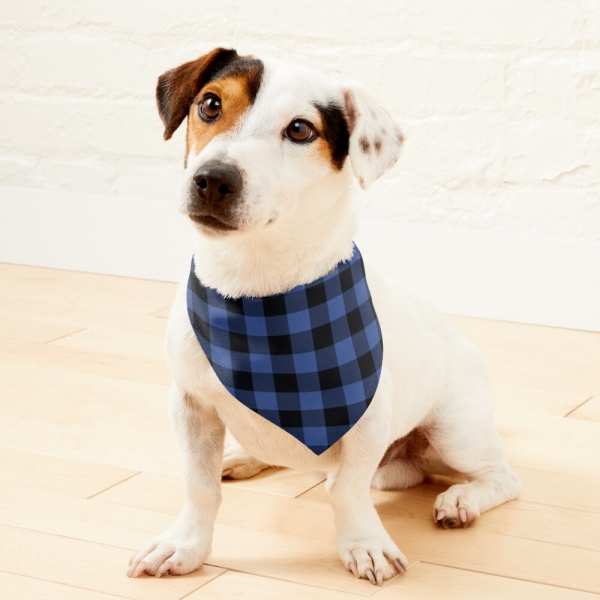 Lapis blue buffalo checkered plaid pet bandana