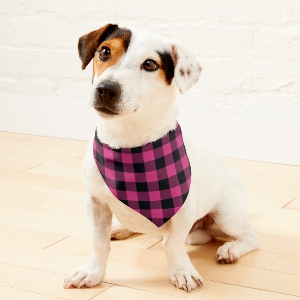 Bright Pink Buffalo Checkered Plaid Pet Bandana