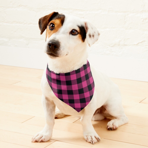 Bright pink buffalo plaid pet bandana