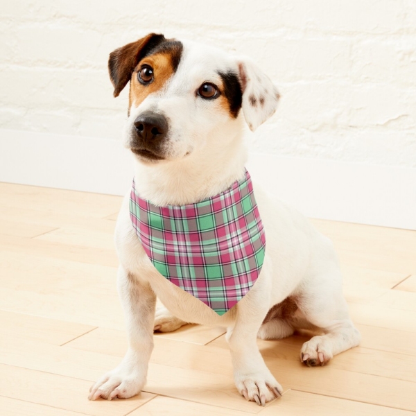 Mint Green and Pink Plaid Pet Bandana
