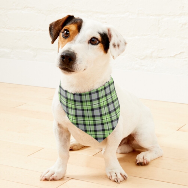 Light Green and Gray Plaid Pet Bandana