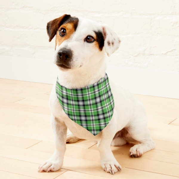Bright Green, Black, and White Plaid Pet Bandana
