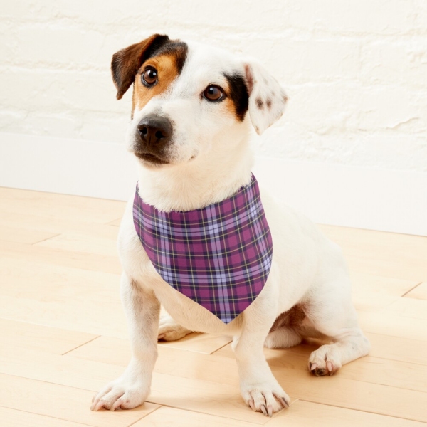 Bright Purple Plaid Pet Bandana