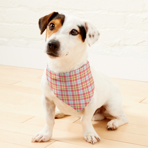 Coral Pink and Yellow Plaid Pet Bandana