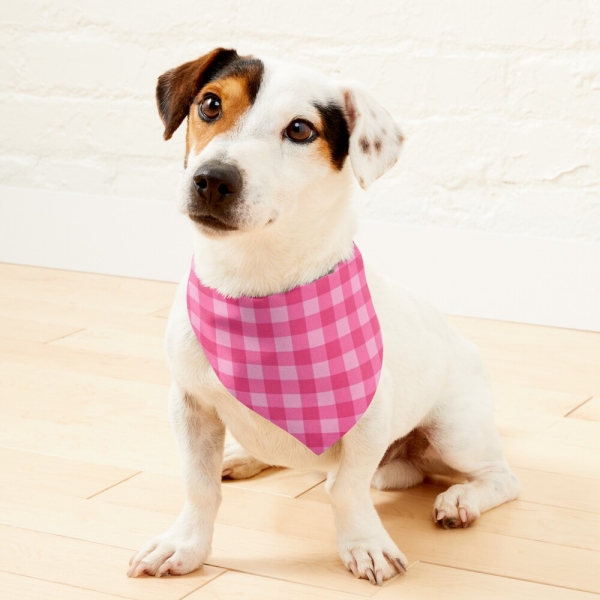Bright Pink Checkered Plaid Pet Bandana