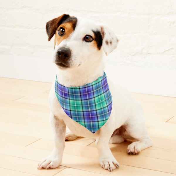 Bright Green and Purple Plaid Pet Bandana
