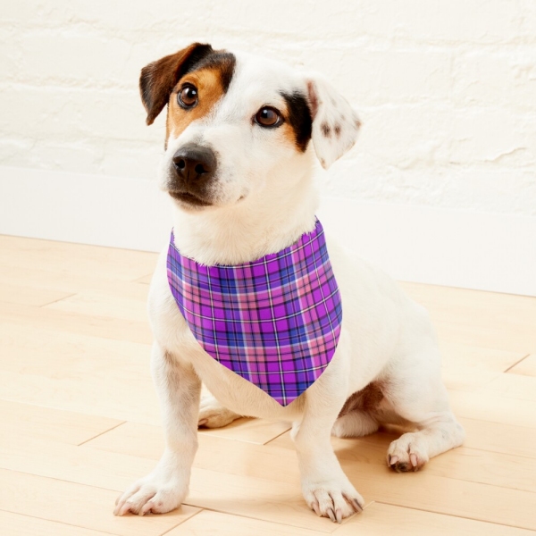 Bright Purple, Pink, and Blue Plaid Pet Bandana