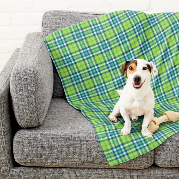 Lime Green and Turquoise Plaid Pet Blanket