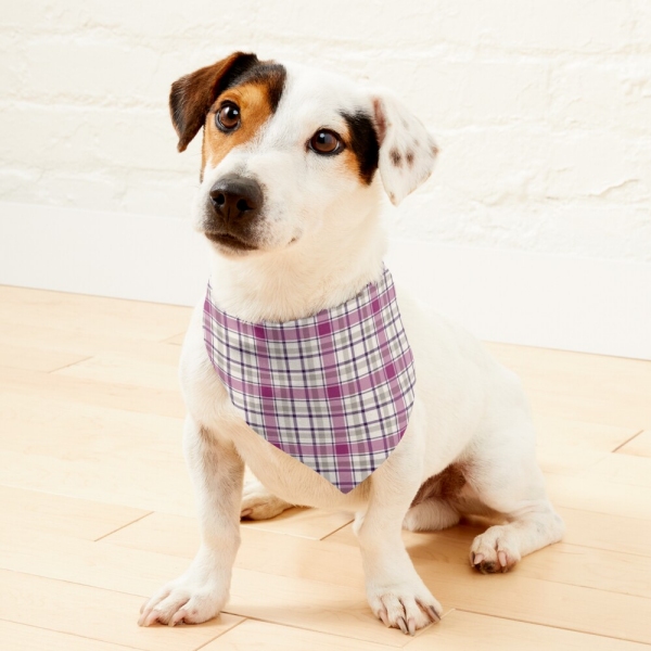 Magenta and Light Gray Plaid Pet Bandana
