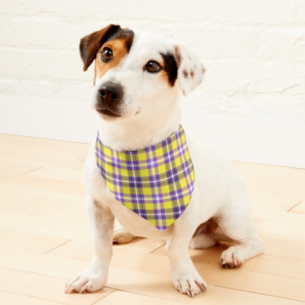 Bright Yellow and Purple Plaid Pet Bandana