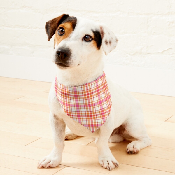 Orange and Hot Pink Plaid Pet Bandana
