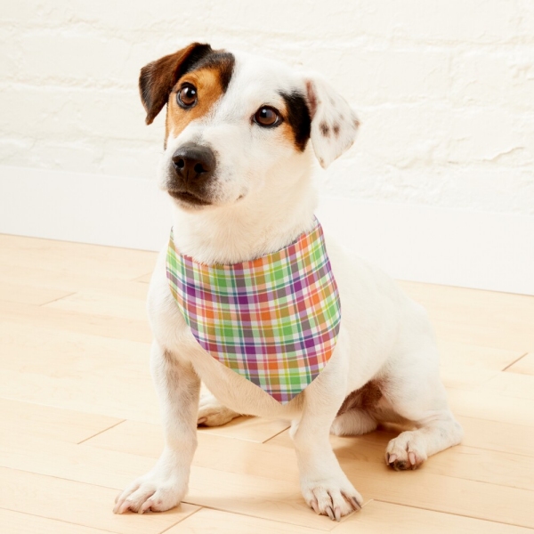Purple, Orange, and Lime Green Plaid Pet Bandana