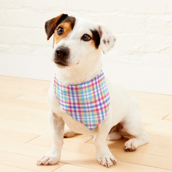 Purple, Pink, and Blue Plaid Pet Bandana
