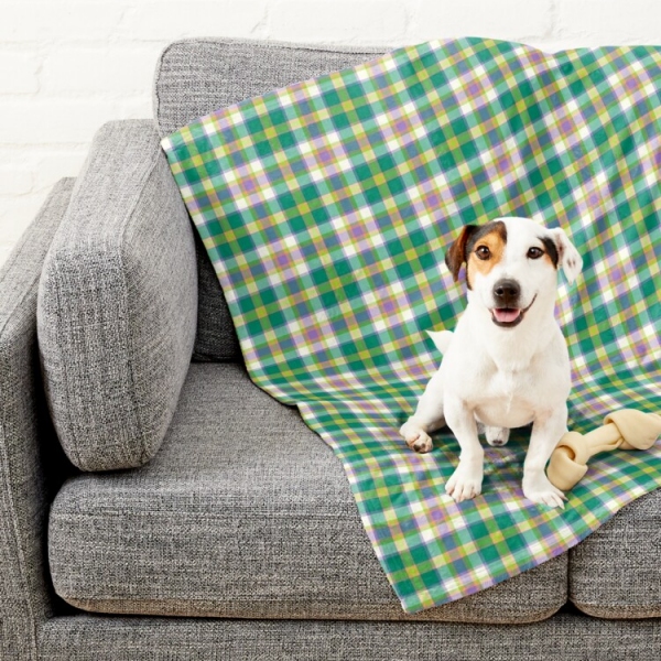 Seafoam Green and Purple Plaid Pet Blanket