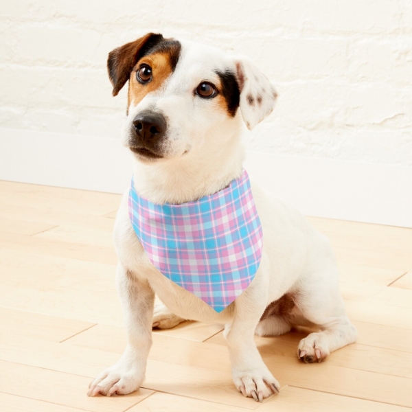 Baby Blue, Pink, and White Plaid Pet Bandana