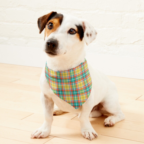 Yellow and Seafoam Green Plaid Pet Bandana
